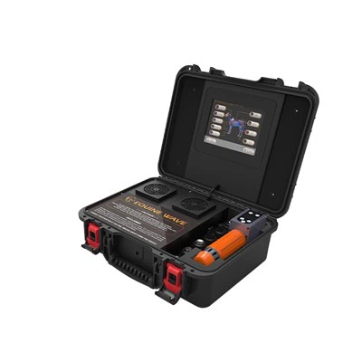 Ударно-хвильова терапія на конях